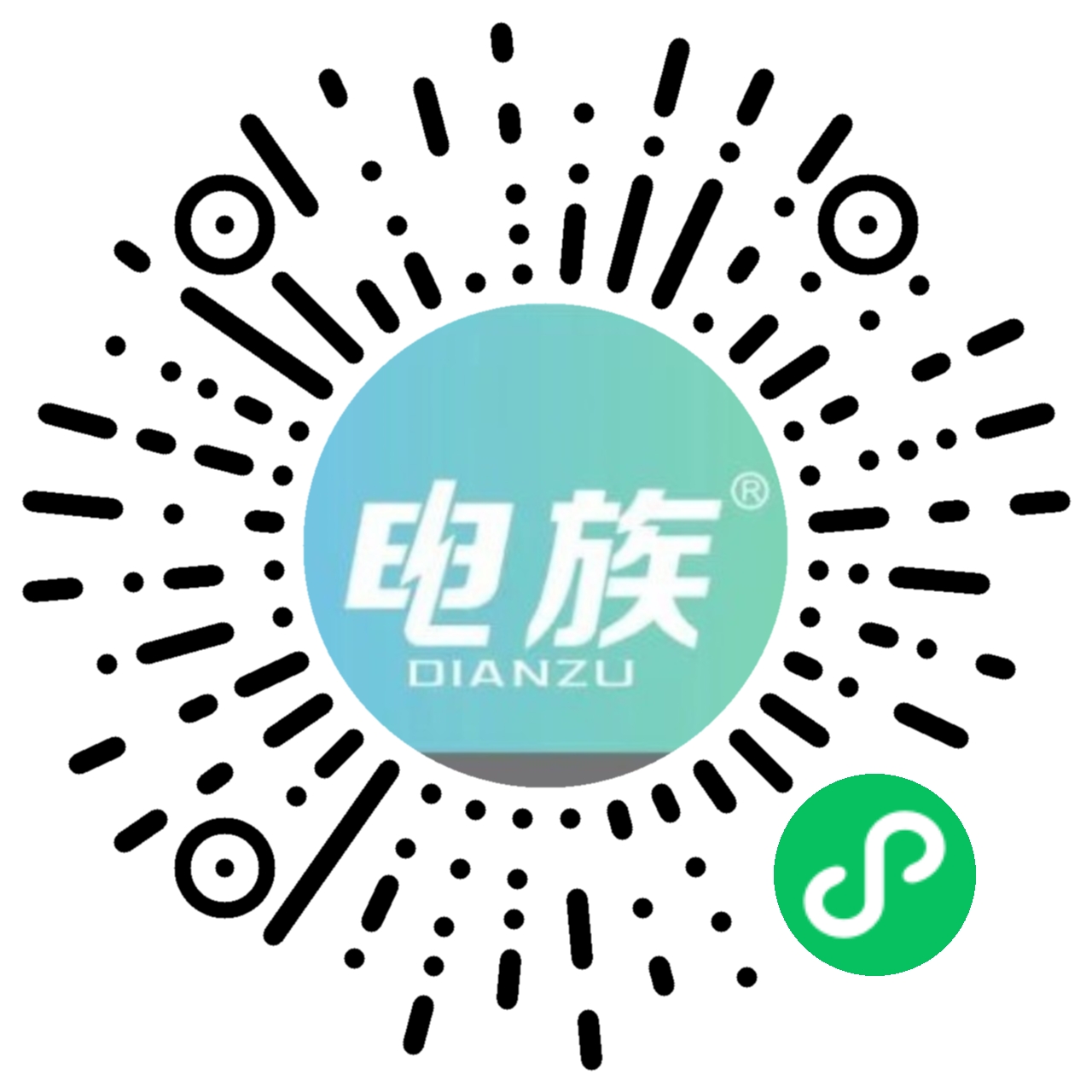 电族电池